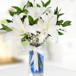 Vazoda Beyaz Kazablanka Lilyum