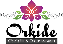 Kırıkkale Orkide Çiçekçilik, Kırıkkale Orkide Çiçek, Kırıkkale Çiçekçi, Kırıkkale Çiçekçilik