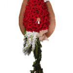 DÜĞÜN ÇİÇEĞİ